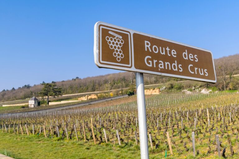 Wine,Road,(route,Des,Grands,Crus),Near,Beaune,,Burgundy,,France