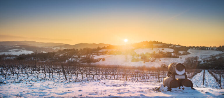 Vineyards,Rows,Covered,By,Snow,In,Winter,At,Sunset,And
