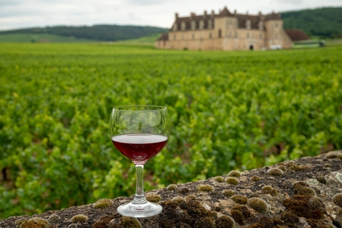 Visit,Caves,And,Tasting,Of,Red,Dry,Pinot,Noir,Wine