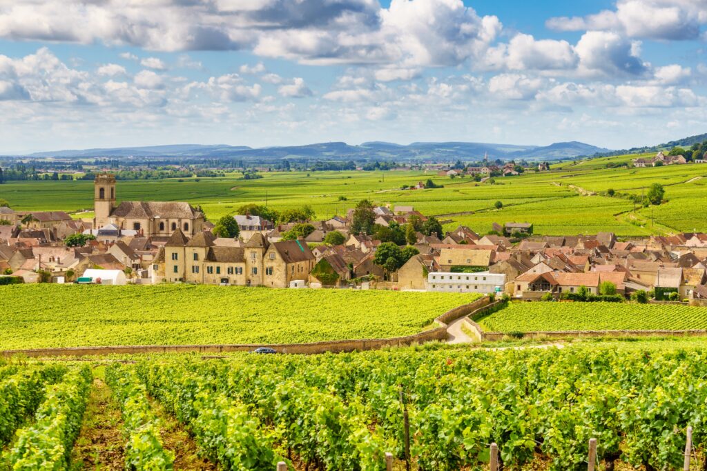 wine tour cote de beaune