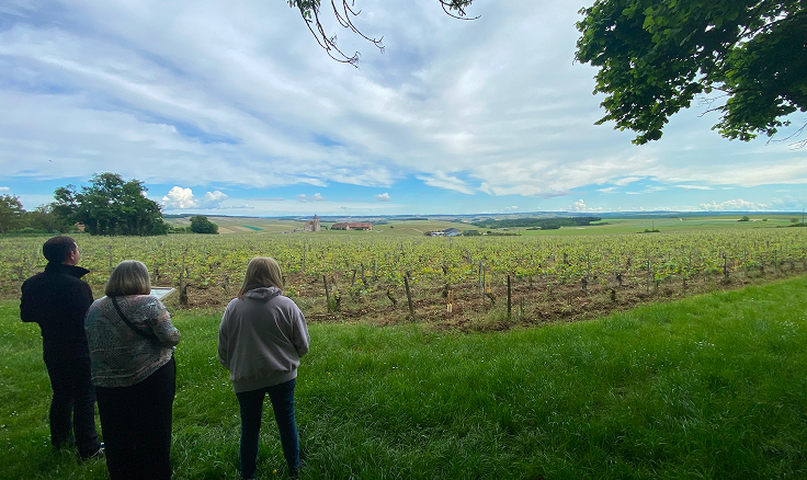 Wine tour in chablis and auxerre - image 2