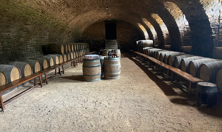 Wine tour côte chalonnaise and mâconnais - image 2