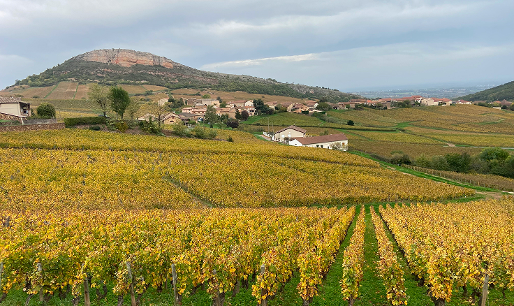 Wine tour côte chalonnaise and mâconnais - image 1