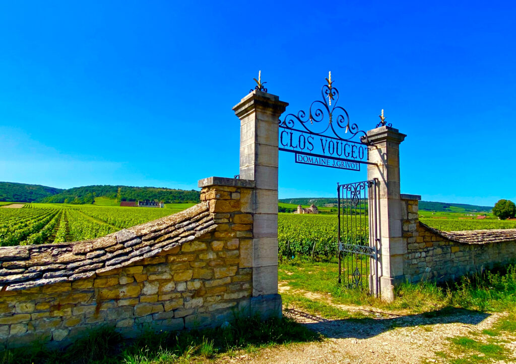 Wine tour côte de nuits and beaune - image 1