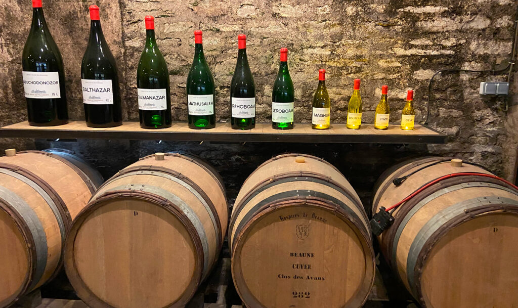 Wine tour hospices de beaune - image 2