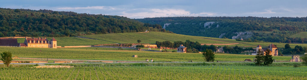 Côte de Nuits