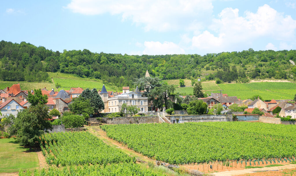 Côte d’or hidden gems tour - image 2