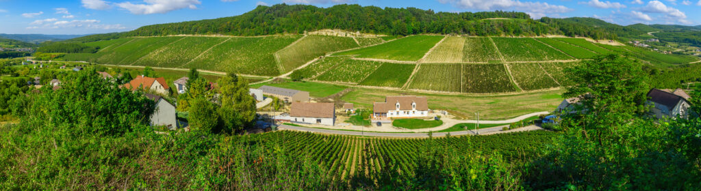 Chablis