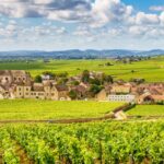 Discover the secrets of burgundy wine with a private côte de beaune wine tour