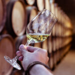 Wine culture: understanding the difference between appellation and grape variety to perfect your burgundy wine tasting