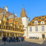 Discover the secrets of burgundy wine with a private wine tour in the côte de beaune